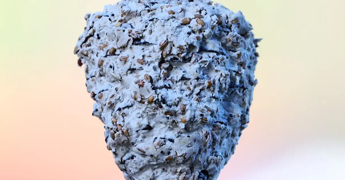 Energy gels voor wielrennen: de perfecte brandstof voor wielrenners.