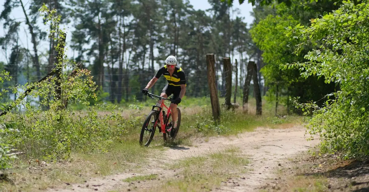 Wielrennen bij Jan van Arckel: Ontdek de wielersport
