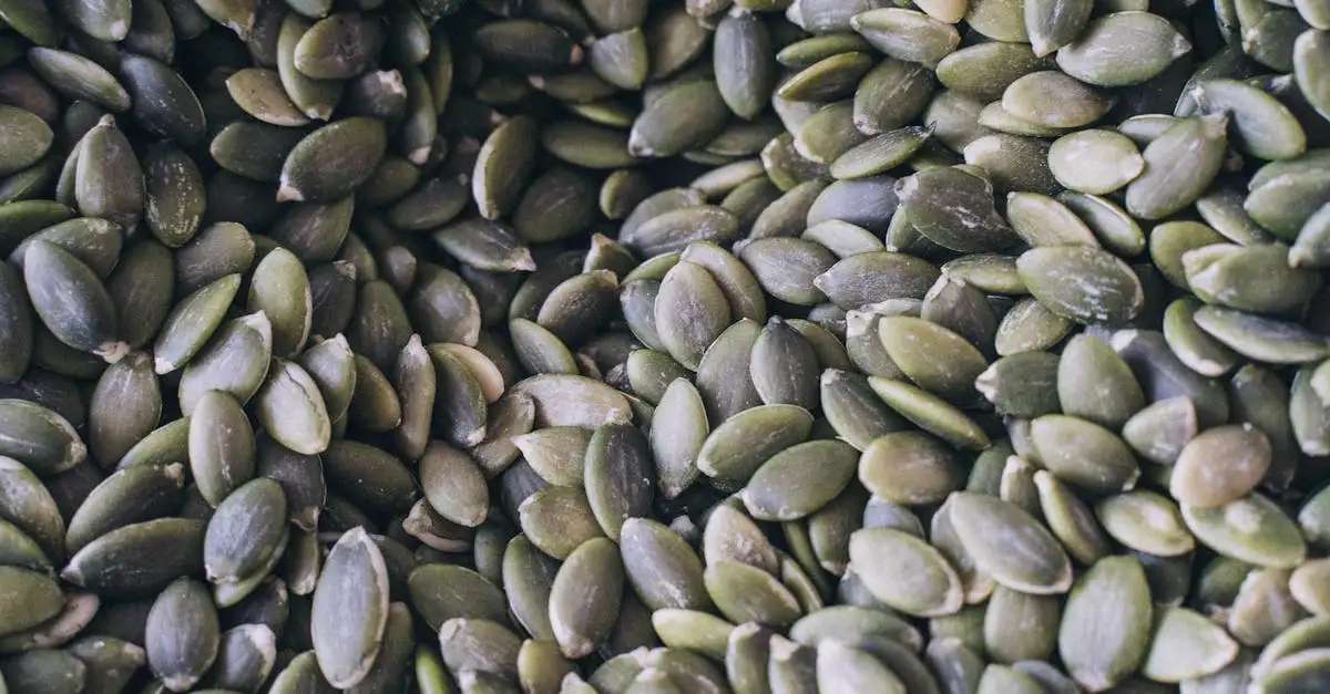 Magnesium voor wielrennen: voordelen en gebruik