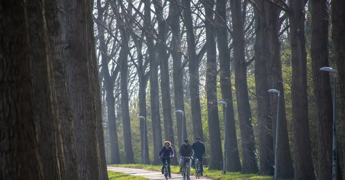 Vaseline voor wielrennen: smeren en beschermen